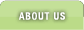 About Us Tab