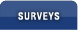 Surveys Tab