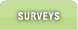 Surveys Tab